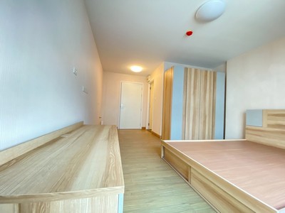 ขาย คอนโดพลัม พหลโยธิน 89 ห้องไม่เคยปล่อยเช่า ไม่ติดค่าส่วนกลาง ติดวอลเปเปอร์ ติดม่านแล้วเรียบร้อย ขนาด 22.52 ตร.ม.