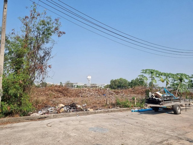 ขายที่ดินทำเลทองเขตEEC 5ไร่-40 ไร่ฟรีถมดินให้เสมอถนน คลองอุดมชลจร เมืองฉะเชิงเทรา ผังที่ดินม่วงจุดสีขาวเหมาะสร้างโรงงานทุกประเภท