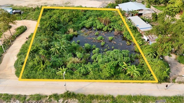 ให้เช่า ที่ดินเปล่า 2 ไร่ 88 ตารางวา ใกล้ หาดกระทิงลาย ชลบุรี