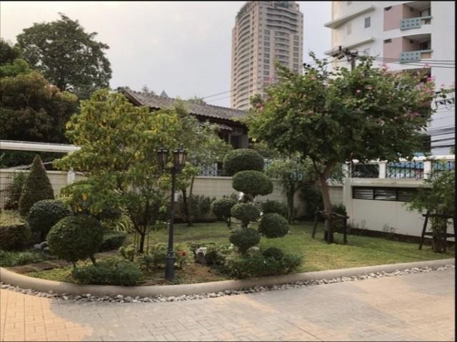 ให้เช่าบ้านเดี่ยว2ชั้น5นอน 800 ตร.ม.ย่านสาธรสวนพลูงามดูพลีใกล้MRTลุมพินี BTSช่องนนทรี