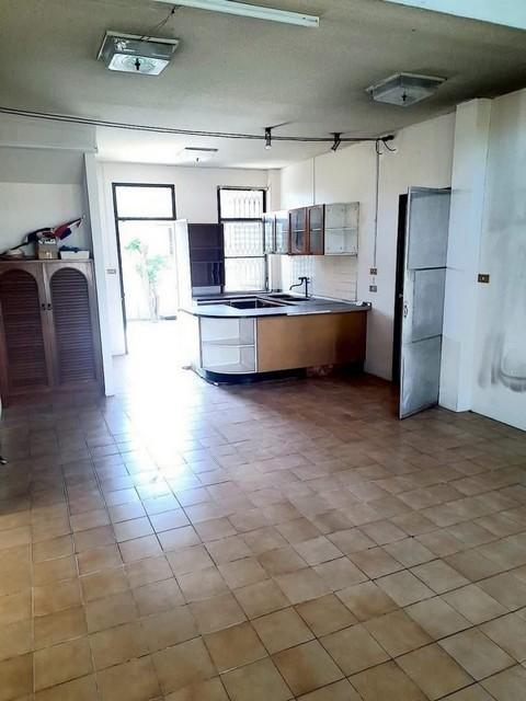 ขายที่ดิน 203 ตรว. พร้อมบ้าน 3 หลัง ซอยสุขุมวิท 93 พื้นที่ร่มรื่น ใกล้ BTS บางจาก