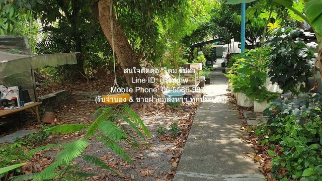 ที่ดิน ขายที่ดินบ้านสวนแปลงใหญ่ ใจกลางเมือง เนื้อที่ 493 ตร.ว. (ใกล้ MRT พระราม 9) 120 ล้านบาท   120000000 B.  พ.ท. 93 sq.wa 0 งาน 1 RAI บรรยากาศดี กรุงเทพ