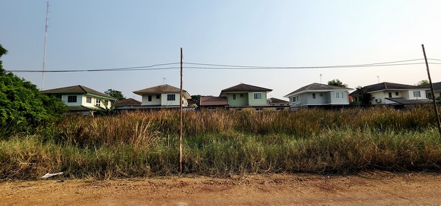 ขายที่ดินคลอง4 ลำลูกกา ไสวประชาราษฏร์ 1ไร่ อยู่ต้นๆซอย  เหมาะทำโกดัง ปลูกบ้าน หรือทำแปลงที่ดินแบ่งขายได้ ทำเลดี ใกล้แหล่งชุมชน