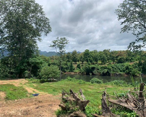 ขายสวนทุเรียน 111 ไร่ ติดแม่น้ำแคว หินดาด ทองผาภูมิ กาญจนบุรี หน้าน้ำกว้าง 780 ม. วิวสวย หน้าน้ำกว้างมาก ทุเรียนปีหน้าเก็บได้แล้ว