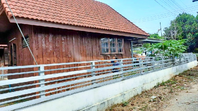 ตลาดแม่ริมพลาซ่า 3 กม.ให้เช่าบ้านเดี่ยว 1 ชั้น  หลังมุม 61 ตร.วา.245 ตร.ม.แม่ริม 2 นอน เทศบาลเมืองแม่โจ้ 