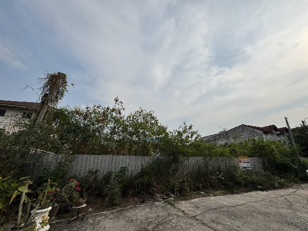 ที่ดินให้เช่า โชคชัย 4 ซอย 64 – โอกาสทองสำหรับธุรกิจของคุณ!