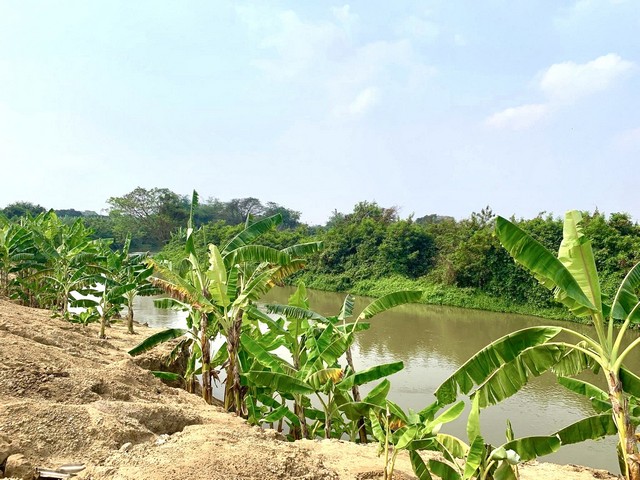 ขายครับ  ที่ดินติดน้ำ แปลงสวย ติดถนน ห่างจากกรุงเทพ 1 ชั่วโมง อ.กำแพงแสน จ.นครปฐม