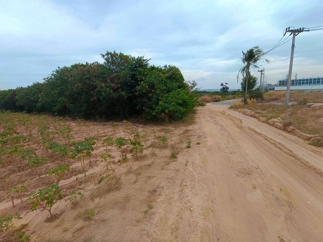 ขายที่ดินทำเลดีบ่อวินศรีราชาชลบุรี 24-1-43 ไร่ ผัง สีม่วงลาย แหล่งโรงงานอุตสาหกรรมไม่มีชุมชน