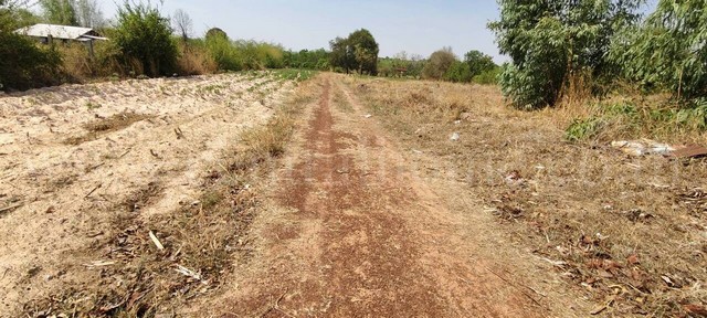 ที่ดิน 40-1-9 ไร่ อำเภอสมเด็จ จังหวัดกาฬสินธุ์ ราคาถูก ติดถนน