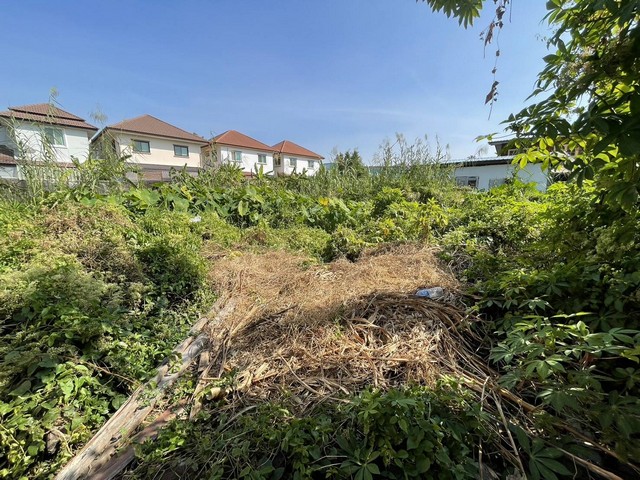 ขาย ที่ดิน 100 ตรว.ใกล้วัดศาลาแดง แหล่งชุมชน  ย่านทวีวัฒนา เหมาะสร้างบ้านพักอาศัย