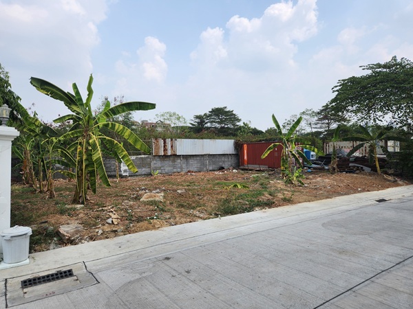 พื้นที่ดิน ที่ดินใกล้เซ็นทรัลแจ้งวัฒนะ ราคาเช่า 20,000 บ/ด  ให้เช่าที่ดินสวย ทำเลดี ใกล้เซ็นทรัลแจ้งวัฒนะ & BTS แจ้งวัฒนะ-ปากเกร็ด ขนาดพื้นที่ 85 ตรว. 20000 บาท. ใกล้ ใกล้เซ็นทรัลแจ้งวัฒนะ ราคาเช่า 20,000 บ/ด  ให้เช่าที่ดินสวย ทำเลดี ใกล้เซ็นทรัลแจ้ง