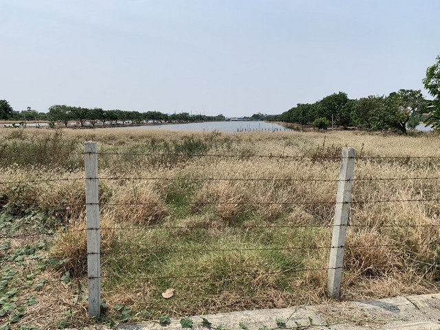 ขายที่ดินเปล่า เนื้อที่ 1ไร่ ใกล้ตลาดนางรำ ถนนศรีษะจระเข้ใหญ่ เขตบางเสาธง อ. บางเสาธง สมุทรปราการ