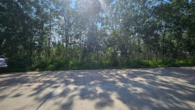 ที่ดินสวยถูกสามารถสร้างโรงงานโกดังได้ ที่ดินผังสีเหลือง ต.หนองอิ​รุณ​บ้านบึง​ชลบุรี​