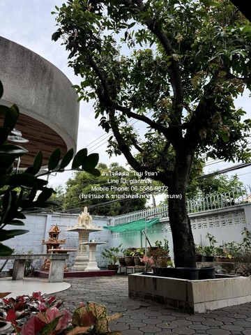 บ้าน ขายบ้านเดี่ยว 2 ชั้น ซ.นราธิวาสราชนครินทร์ (ใกล้ ถ.จันทน์) 96 ตร.ว. 4 น 3 น้ำ 3 จอดรถ ราคา 85 ล้านบาท ราคาดีที่สุด กรุงเทพ