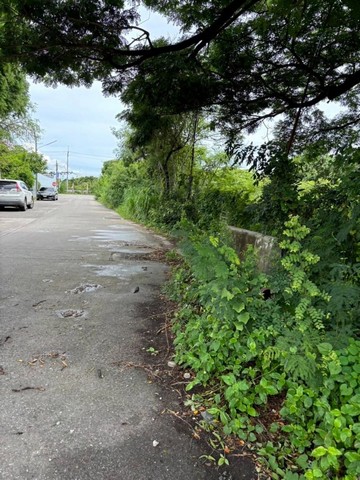 ที่ดินเปล่าแปลงสวย ทำเลดี ใกล้แหล่งชุมชน บ้านปึก ชลบุรี FP-L0361