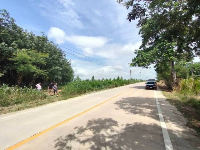 ขายที่ดินเปล่าแปลงสวย ผังสีม่วงลาย โซนห้างสูง หนองใหญ่ ชลบุรี FP-L0374