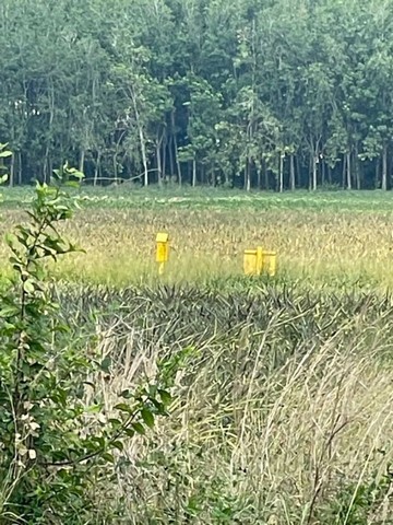 ขายที่ดินเขาคันทรง ศรีราชา ตรงข้ามกับนิคมโรจนะ 2 ผังสีม่วงลาย FP-L0373