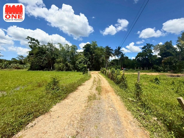 ที่ดินเปล่า เนื้อที่ 0-1-60 ไร่ ทำเลดี ราคาสุดคุ้ม ซอยหนองแตน-ไผ่โปง ตำบล นาสาร อำเภอ พระพรหม จังหวัด นครศรีธรรมราช