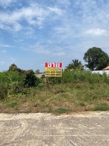 ขายที่ดิน 243.4 ตร.วา แปลงสวย ด้านหลังติดคลอง   ใกล้แหล่งชุมชน  ชัยมงคล  เมืองสมุทรสาคร  ZW551
