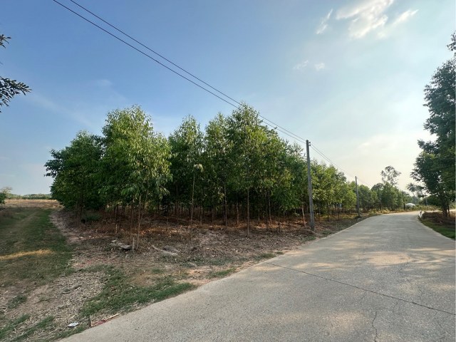 ขายด่วน ที่ดินทำเลทอง 20 ไร่  แบ่งขายได้ น้ำไฟพร้อม ใช้งาน ติดถนนหลัก 304 พื้นที่ดี พร้อมทำการพัฒนาได้ทันที  อ.กบินทร์บุรี  จ.ปราจีนบุรี