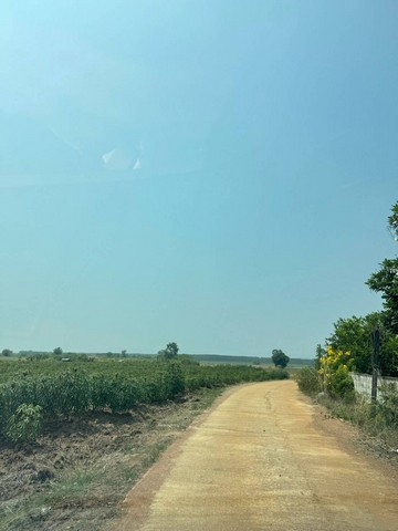 ขายที่ดิน 21 ไร่ วิวภูเขา ติดทางสาธารณะ 2 ด้าน ต.กลอนโด อ.ด่านมะขามเตี้ย กาญจนบุรี ไร่ละ 500,000 บาท