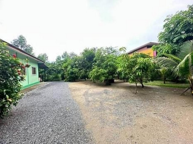 บ้านสวนร่มรื่น น่าอยู่มากะอาดน่าอยู่ ร่มรื่น บนเนื้อทีท172ตร.ว.เขัาออกได้สองทาง