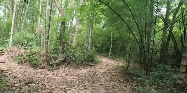 ขายด่วนๆ ที่ดินปราจีนบุรี เนื้อที่ 2 ไร่ 2 งาน 53 ตารางวา  ตำบลดงบัง อำเภอประจันตคาม จังหวัดปราจีนบุรี