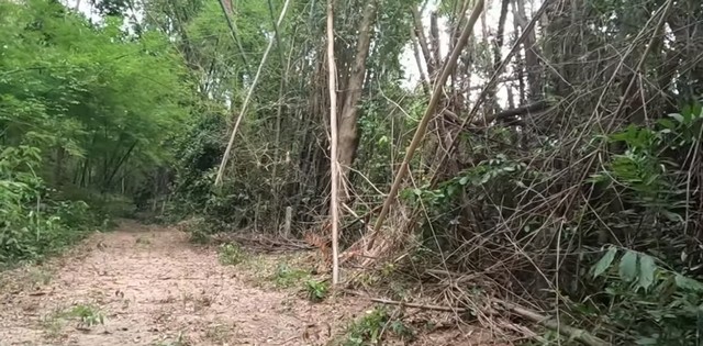 ขายด่วนๆ ที่ดินปราจีนบุรี เนื้อที่ 2 ไร่ 2 งาน 53 ตารางวา  ตำบลดงบัง อำเภอประจันตคาม จังหวัดปราจีนบุรี