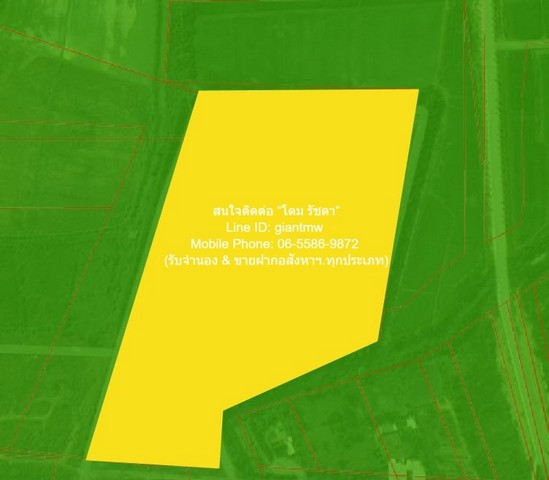 ขายบ้านพร้อมที่ดินสวนมะพร้าว มะม่วง บึงพระ จ.พิษณุโลก ติดถนนเลี่ยงเมืองพิษณุโลก 56-0-17 ไร่ ราคา 199 ล้านบาท 