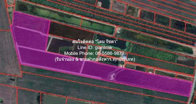 ขายที่ดินทุ่งนา 103-0-44 ไร่ ศรีจุฬา อ.เมืองนครนายก นครนายก ราคา 31 ล้านบาท 
