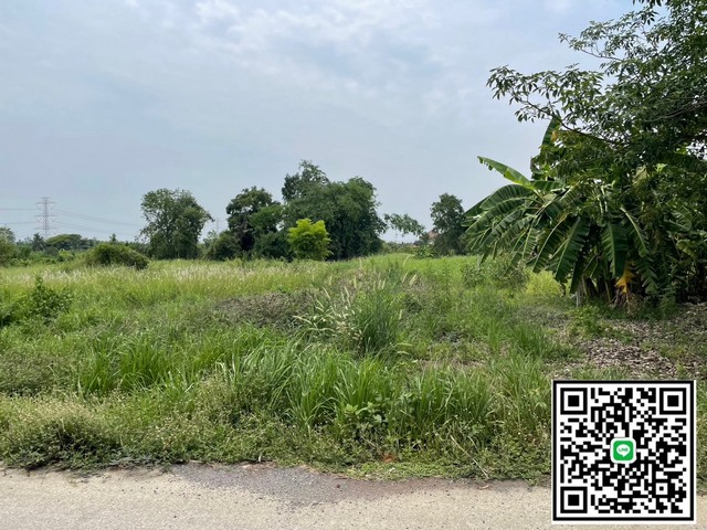 ขายที่ดิน ถมแล้ว 2 แปลง ซอยเทศบาลบึงบา อำเภอหนองเสือ จังหวัดปทุมธานี เนื้อที่ 100 ตารางวาและ 80 ตารางวา