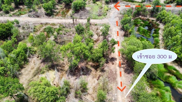 ขายที่ดินแปลงสวย คลอง11 รังสิต-ปทุมธานี 2 ไร่  ไร่ละ 7แสนบาทถูกมาก