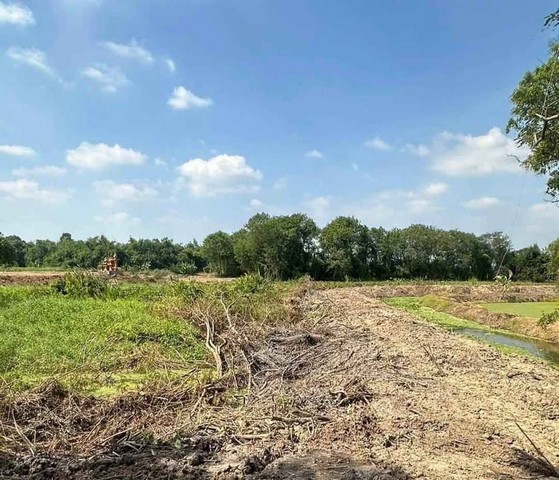 ขายที่ดินพร้อมสิ่งปลูกสร้างพนัสนิคมชลบุรี นาวังหินพนัสนิคมจ.ชลบุรี พื้นที่สีเขียว บนเนื้อที่​ 7 -​2- 92  ไร่