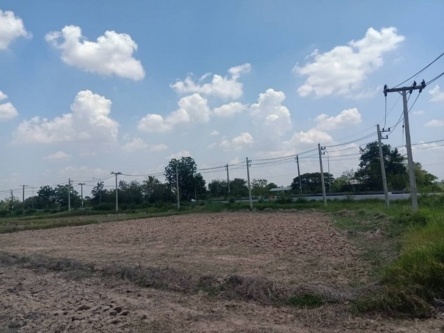 ขายที่ดินราคาถูก ติดถนน 3 ไร่ 2 งาน 36 ตารางวา จ.ชัยภูมิ  อ.เมืองชัยภูมิ ต.บ้านเล่า