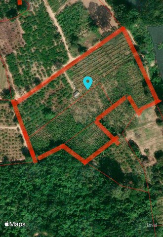 ขายด่วน ที่ดินติดริมแม่น้ำเพชรบุรี เนื้อที่ 11 ไร่ 29 ตรว.  ตำบลท่าแลง อำเภอท่ายาง จังหวัดเพชรบุรี