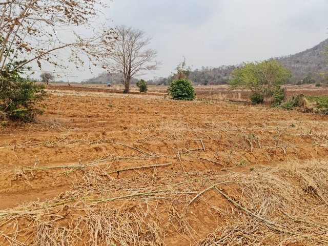 พฤษภาแห่งการซื้อทรัพย์ทำเลสวย  ที่ดินติดภูเขา ต.พระนอน อ.เมือง จ.นครสวรรค์ วิวสวยมากๆๆ 5ไร่เศษ โทร 096-882-1857