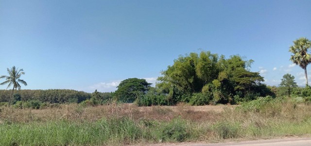 พฤษภาคมแห่งการซื้อทรัพย์น่าลงทุน ที่ติดแม่น้ำโขง ต.กุดบง อ.โพนพิสัย จ.หนองคาย  หลังติดแม่น้ำโขง ไร่ละ 2ล้านบาท โทร 096-882-1857