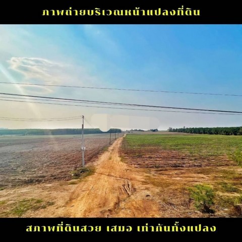 ขายที่ดินผังสีเหลือง โซนหนองเสือช้าง ทำเลดี เขตEEC ชลบุรี FP-L0378