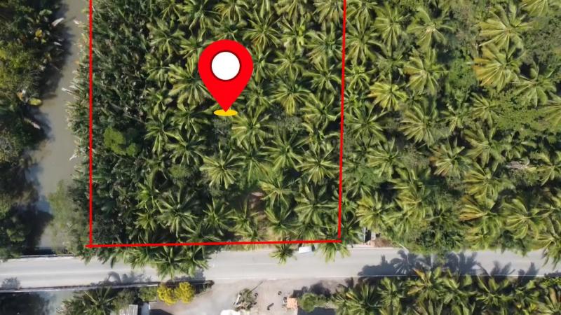 ที่ดินโซลอัมพวา จ.สมุทรสงคราม 2ไร่1งาน แปลงสวยๆ ติดคลองน้ำ