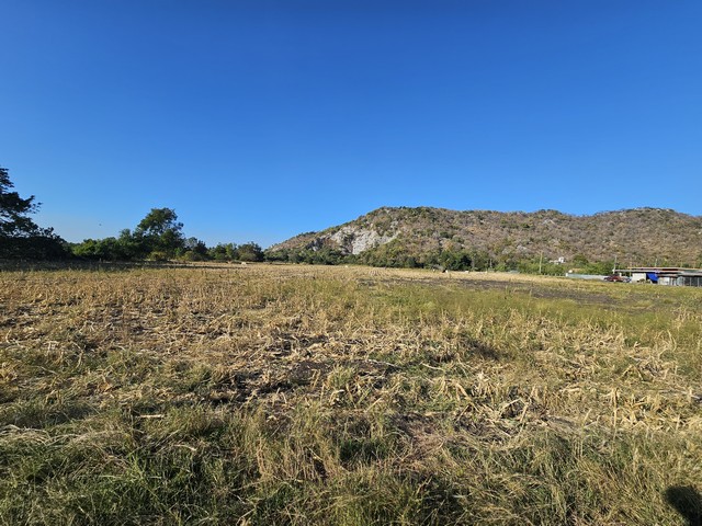 ขายที่ดิน 43 ไร่ สระบุรี วิวภูเขา ติดถนนสองฝั่ง ใกล้ชุมชน-เทศบาลพุกร่าง ราคาดีสุดในย่านนี้ ไร่ละ 5 แสน