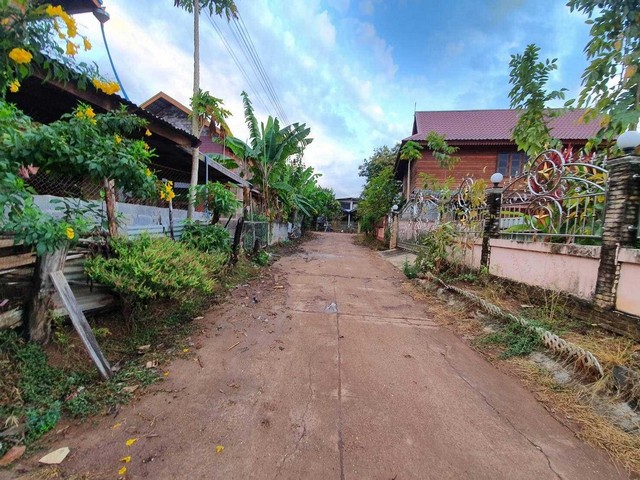 ขายที่ดินเปล่า 2 แปลง บ้านดุง อุดรธานี ติดถนนคอนกรีต ใกล้โรงเรียน เหมาะสร้างบ้านหรือเก็บลงทุน