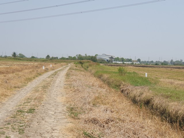 ขายที่ดินเปล่า 143 ไร่ ติดถนนทางหลวง 200 บางปะกง ฉะเชิงเทรา พื้นที่สีส้ม รองรับการพัฒนาเมือง