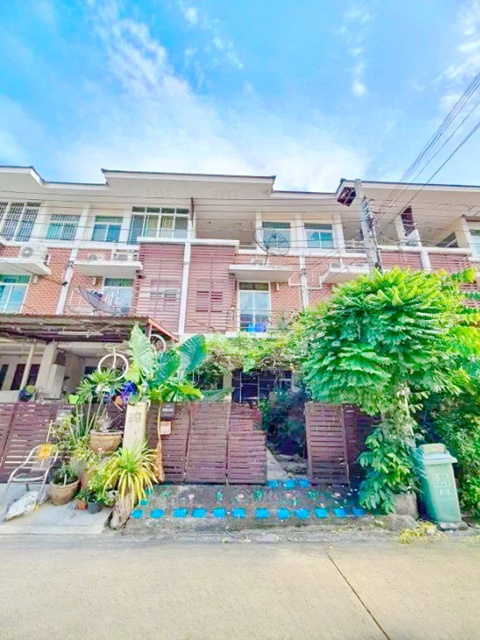 MRT ภาษีเจริญ 2.2 กม.ให้เช่าทาวน์เฮ้าส์ 3 ชั้น 220 ตร.ม.บิ๊กซี กัลปพฤกษ์ 300ม.18 ตร.วา.บรรยากาศร่มรื่น  3 นอน 4 น้ำ ตลาดฮอลแลนด์ 1.6 กม.