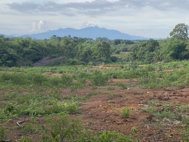 ขายที่ดินที่ดินสวยทำเลศักยภาพ ใจกลางเมืองจันทบุรี หลังค่ายตากสิน เนื้อที่รวม 14 ไร่เศษ