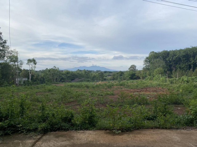 ขายที่ดินที่ดินสวยทำเลศักยภาพ ใจกลางเมืองจันทบุรี หลังค่ายตากสิน เนื้อที่รวม 14 ไร่เศษ