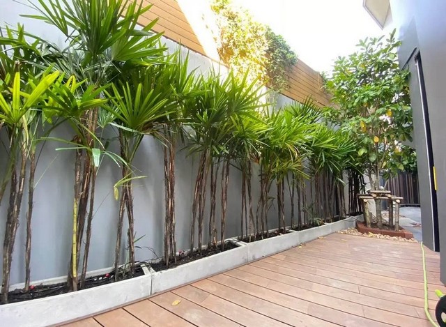 ให้เช่าบ้านเดี่ยวหรู 5 ชั้น ใจกลางเอกมัย Arna Ekkamaiบ้านเดี่ยวหรู5ชั้น ใจกลางเอกมัย