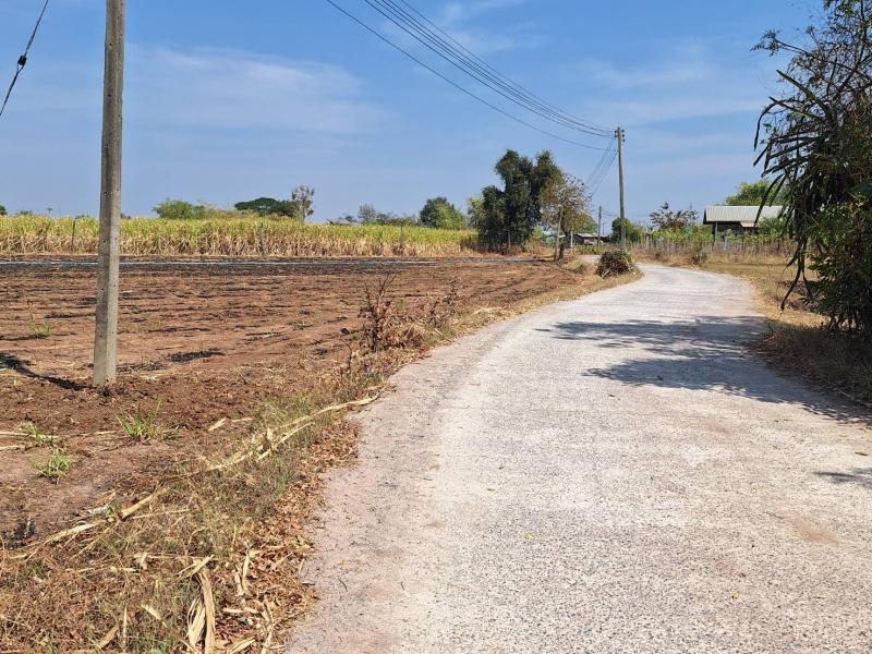 ขายที่ดิน 42 ไร่ ติดถนนคอนกรีต อ.ด่านขุนทด จ.นครราชสีมา