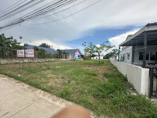 ขายที่ดินตัวเมืองพนัสนิคม บนเนื้อที่​ 287​  ตรว.เหมาะสำหรับ:ป​ลูกบ้าน​, หอพัก​, บ้านจัดสรร​, แบ่งล็อค