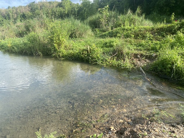 พฤษภาแห่งการซื้อทรัพย์ดีน่าลงทุน ขายที่ดินติดลำธารน้ำใสไหลริน ชุ่มฉ่ำตลอดปี สวยวิวล้าน 800000บาท 3-0-35ไร่ อำเภอสันติสุข น่าน