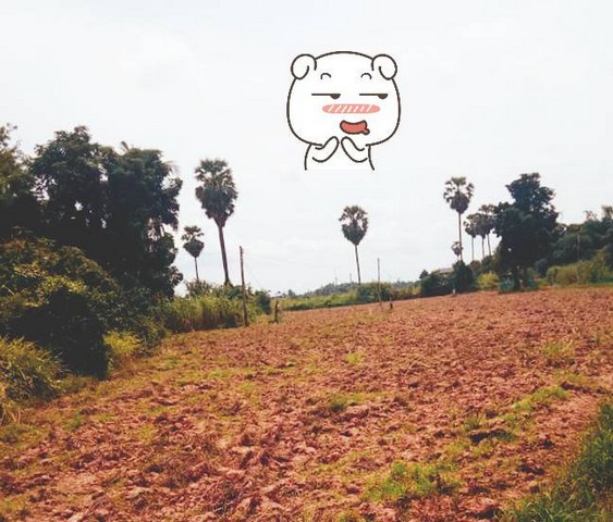 พฤษภาแห่งการซื้อทรัพย์ดีน่าลงทุน ขายที่สวยติดแม่น้ำน่าน ชุมแสง  จ.นครสวรรค์ 300000 บาท.วิวแม่น้ำเกษตรดีงามสวยสมบูรณ์